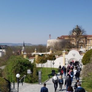 Meet your Posher, Lynette